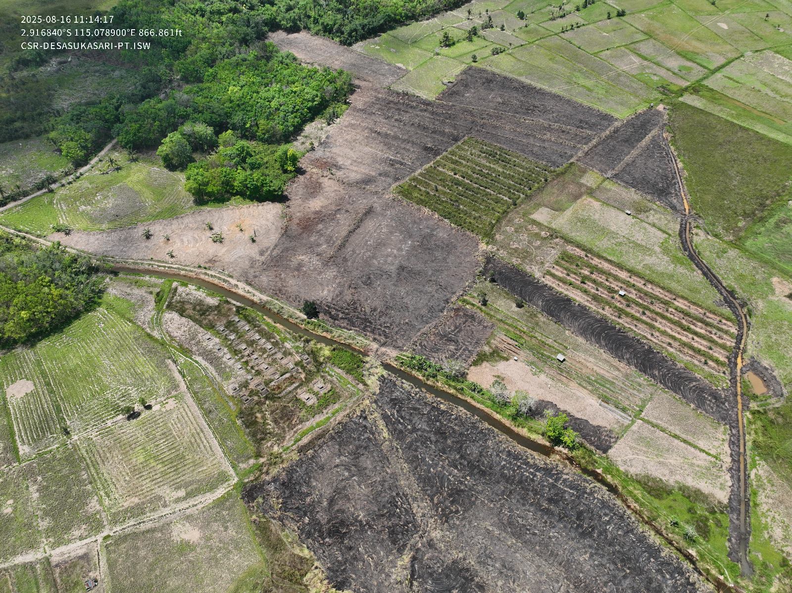Land Clearing 3